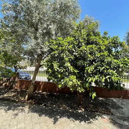 Summeryaz 4+1 Private Vila *